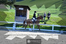ref. photo 3558903