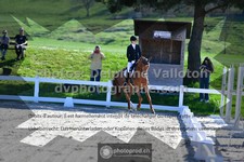 ref. photo 3558904