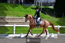ref. photo 3558906