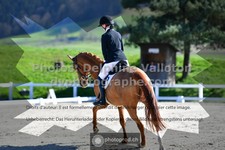 ref. photo 3558909