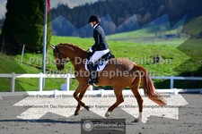 ref. photo 3558910