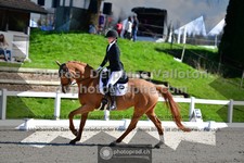 ref. photo 3558911