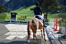 ref. photo 3558913