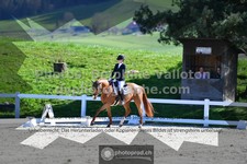 ref. photo 3558915