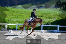 ref. photo 3558916