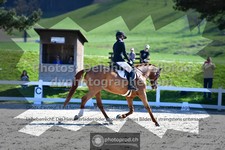 ref. photo 3558918