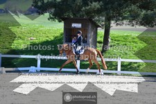 ref. photo 3558920