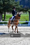 ref. photo 3558923