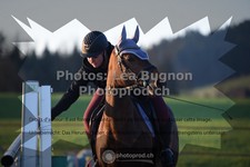 ref. photo 3558939