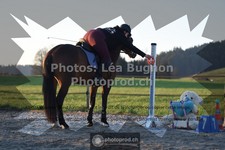 ref. photo 3558944