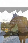 ref. photo 3558946