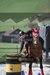 ref. photo 3558968
