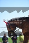ref. photo 3558974