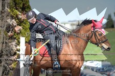 ref. photo 3558981