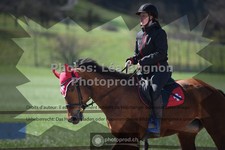 ref. photo 3558986