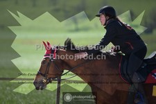 ref. photo 3558987