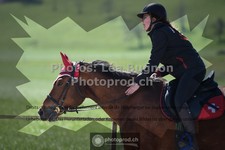 ref. photo 3558988