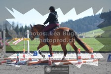 ref. photo 3558995