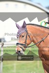 ref. photo 3558998