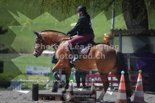 ref. photo 3558999