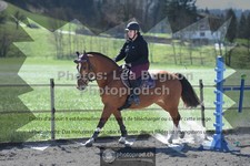 ref. photo 3559000