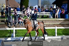 ref. photo 3559004