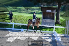 ref. photo 3559007
