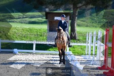 ref. photo 3559008