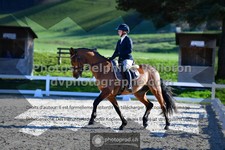 ref. photo 3559009