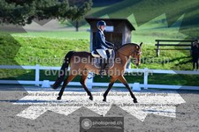 ref. photo 3559011