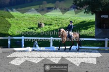 ref. photo 3559018