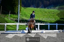 ref. photo 3559019