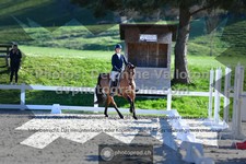 ref. photo 3559024