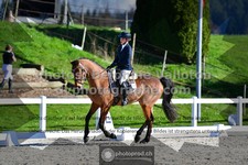 ref. photo 3559026
