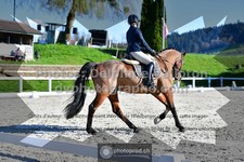 ref. photo 3559029