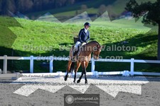 ref. photo 3559032