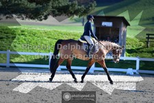 ref. photo 3559034