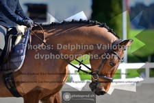 ref. photo 3559039
