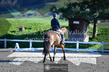 ref. photo 3559040