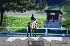 ref. photo 3559041