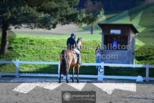 ref. photo 3559042
