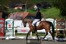 ref. photo 3559049