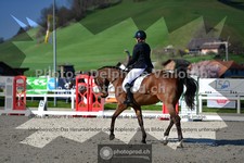 ref. photo 3559053