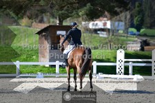 ref. photo 3559055