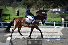 ref. photo 3559059