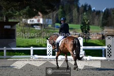 ref. photo 3559060