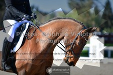 ref. photo 3559064