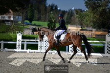 ref. photo 3559068