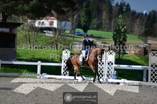 ref. photo 3559070