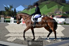 ref. photo 3559088